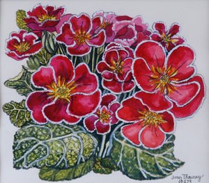Primaveras de borde blanco, 2012 de Joan Thewsey